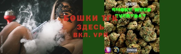 хмурый Алзамай