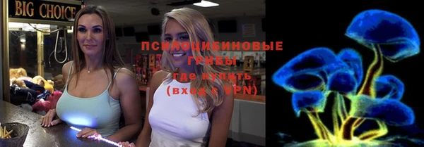 хмурый Алзамай