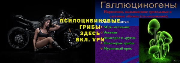 хмурый Алзамай