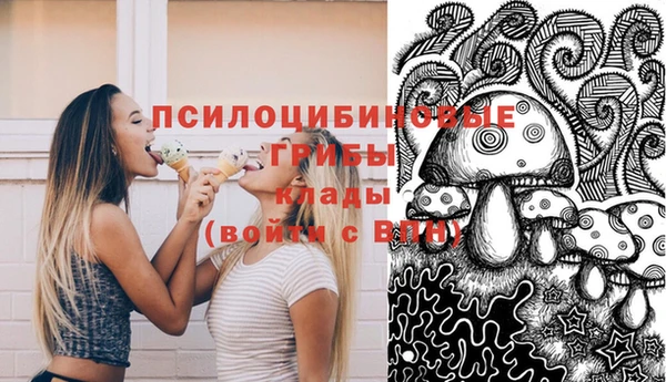 apvp Алексеевка
