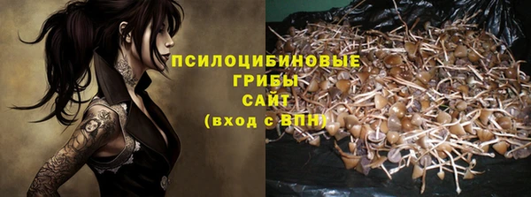 герыч Алексин
