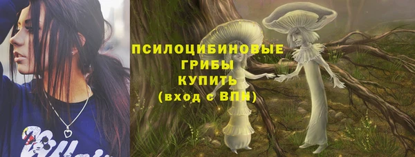 apvp Алексеевка