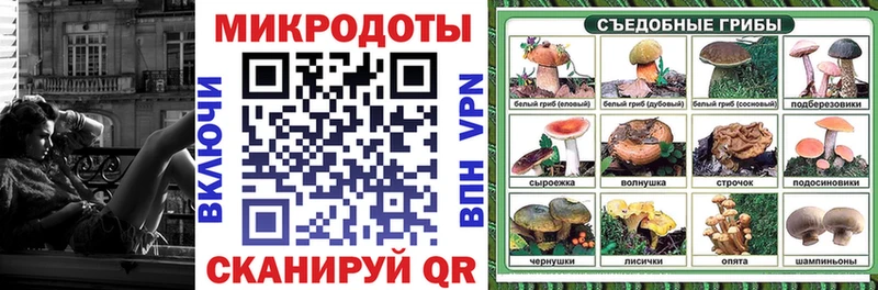 купить наркотик  omg как зайти  Галлюциногенные грибы Psilocybe  Порхов 